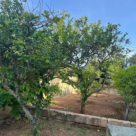 Vila Spectacular With Pool And Tennis Court